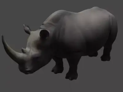 Realistic Rhinoceros 3D Model 3D model