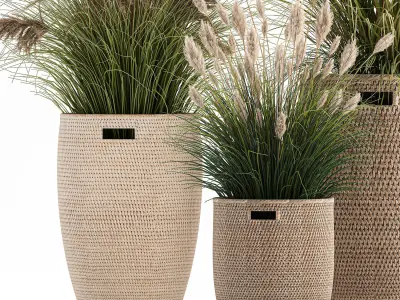 Ornamental plants in rattan baskets 1024 3D model