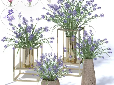 4 colors lilac in vases and pot stands white pink purple blue 3D model