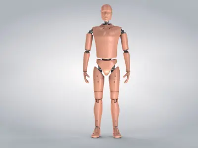 Male Crash Test Dummy -  3 Texture Sets in 1 3D model