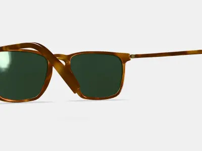 Sutton Sunglasses in Saddle Tortoise with Polished Gold Low-poly 3D model
