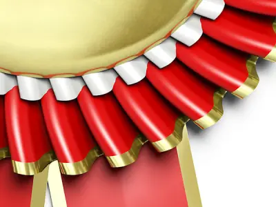 Award rosette 3D model