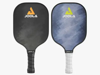 JOOLA Essentials Pickleball Paddle 3D model