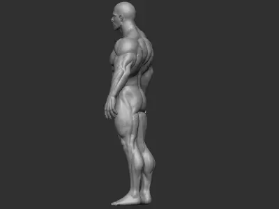 bodybuilder 3D print model male body 3D print model