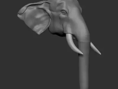 Asian Elephant head 3D model