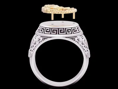 Medusa snake ring  gold  jewelry printable 3D model 3D print model