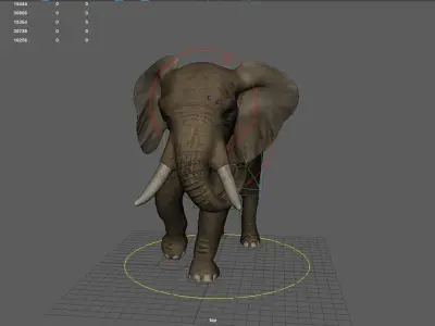 Elephant  Animation Low-poly 3D model