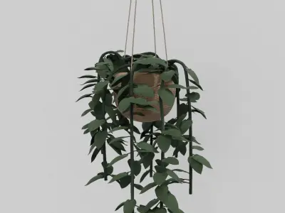 Pothos plants 3D model
