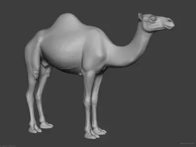 Camel Dromedary - Highpoly Sculpture 3D model