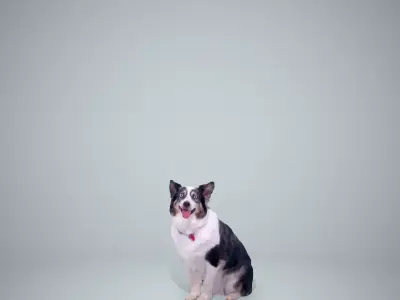 Sitting Dog Dog0003-HD2-P01-S 3D model