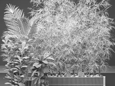 Outdoor Plant Set 3D model