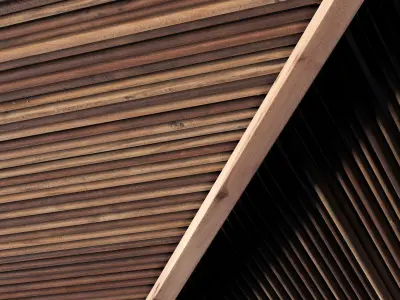 Ceiling straight thin branch n1 3D model