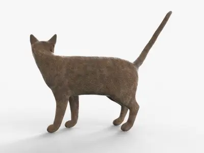 Abyssinian Cat Rigged for Cinema 4D FBX 3D Model Low-poly 3D model