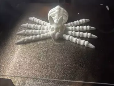 Flexi Spider skeleton  3D print model