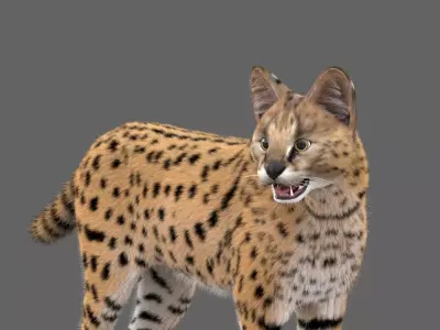Realistic Serval  Low-poly 3D model