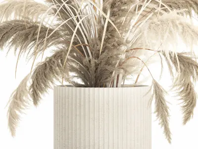 Beautiful bushes pampas grass for decoration in pots 1289 3D model