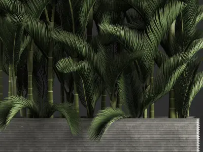Decorative palms Dypsis 3 3D model