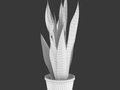 Pot Plant 22 3D model