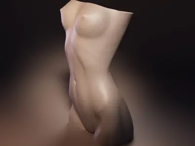 Female Figure Vase printable model 3D print model