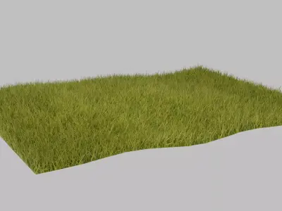 Grass for render Low-poly 3D model