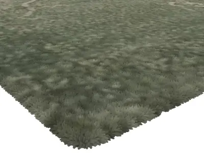 Rug Set 2043 3D model