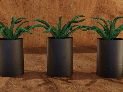  indoor pot plant Low-poly 3D model