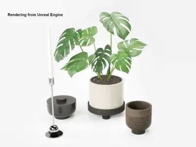 Decorationset Monstera 3D model