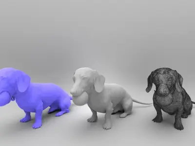 Dachshund dog playing with toy 31 Low-poly 3D model