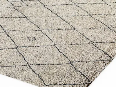 Restoration Hardware rug 3D model