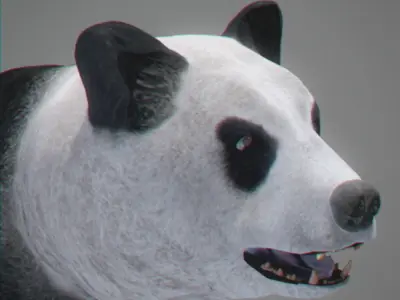 Panda Bear 3D model