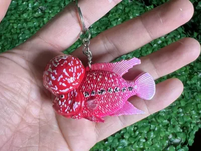 FLOWER HORN FISH - FLOWERHORN CICHLID 3D print model