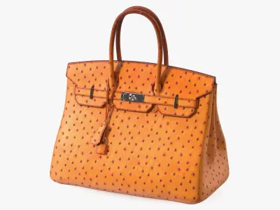 Hermes Birkin Bag Ostrich 3D model