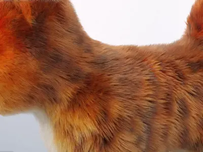 Fur Cute Cat kitten Red No Rig Low-poly 3D model