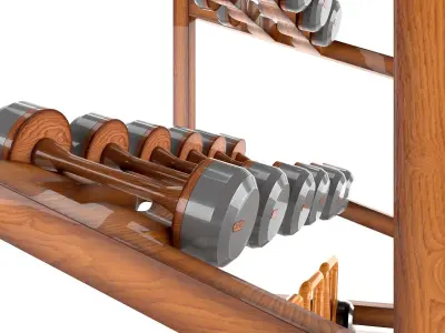 PENT Rack Dumbbell Low-poly 3D model