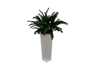 Potted Cordyline Glauca Plant High-Quality 3D Model Free Free low-poly 3D model