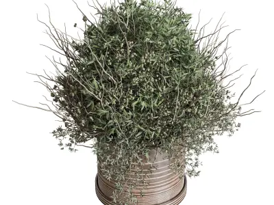 Olive branch in an old earthenware vase Buoquet 33  Low-poly 3D model