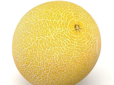 Galia melon 3D model
