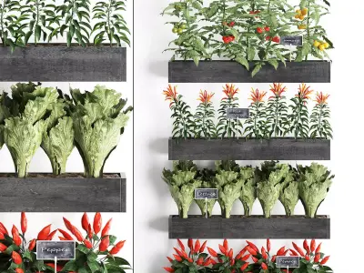 Decorative plants for the kitchen on wooden box 47 3D model