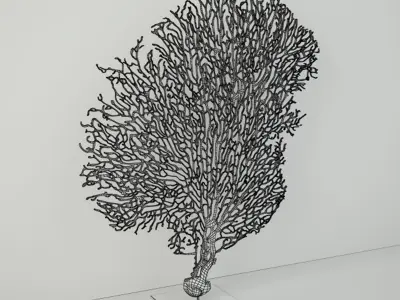 Red Gorgonaria Decoration 3D model