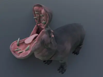 Animated hippopotamus 3D Model Low-poly 3D model