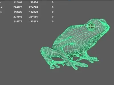 Poison Dart Frog Three colours 3D model