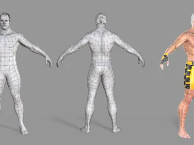 UFC Boxer Low-poly 3D model