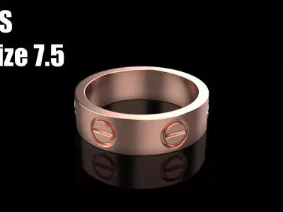 Ring model 567 3D print model