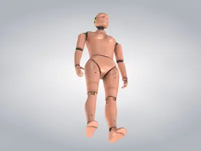 Female Crash Test Dummy -  3 Texture Sets in 1 3D model