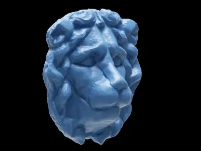 3D printable Lion Head abstract and detailed version 3D print model