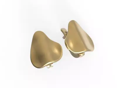 G0111 two gold plated earrings Free 3D print model