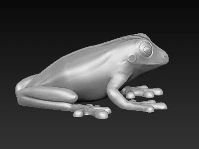 Frog Decorative Printable 3D print model
