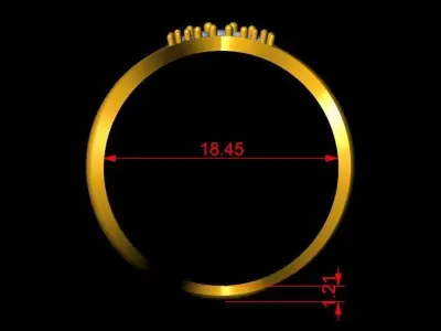 Vanki Ring 3D print model