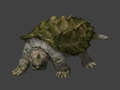 Alligator snapping turtle 3D model