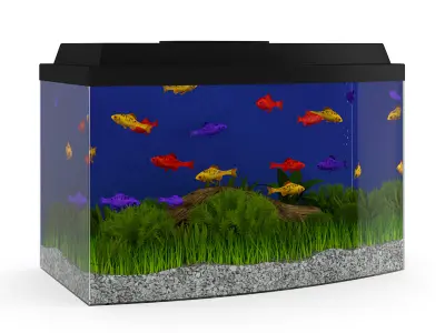 Black Top Aquarium 3D model